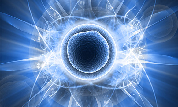 Abstract microscopic illustration representing cellular renewal